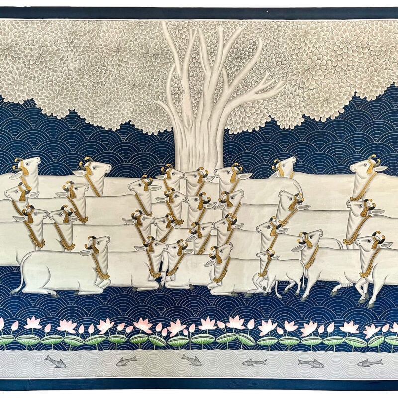 Cow Pichwai | Pichwai Painting